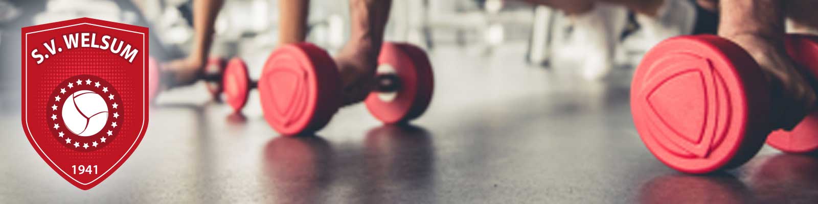 SV Welsum Beelden Gym
